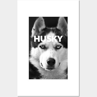 Super Husky Posters and Art